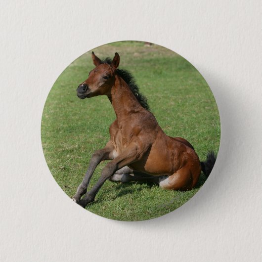 Sitting Arab Foal Ronde Button 5,7 Cm (Voorkant)