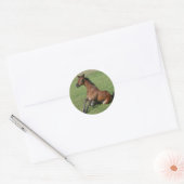 Sitting Arab Foal Ronde Sticker (Envelop)