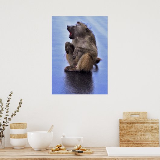Sitting Baboon Poster (Keuken)