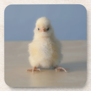 Sitting Baby Yellow Chicken, 3 dagen oud Drankjes Onderzetter