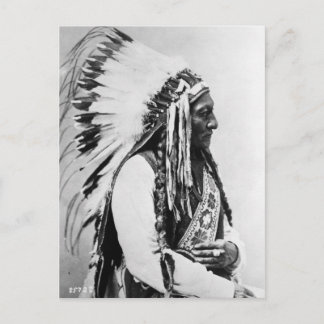 Sitting Bull, een Hunkpapa Sioux Briefkaart