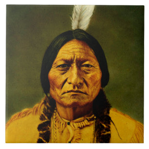 Sitting Bull Native American First Nations Chief Tegeltje