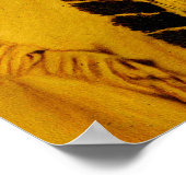 Sitting Bull Native American Indian Chief Poster (Hoek)