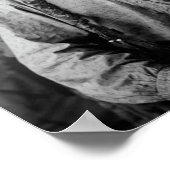 Sitting Bull Portrait - Circa 1883 Poster (Hoek)