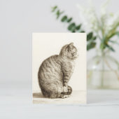 Sitting cat - Jean Bernard Briefkaart (Staand voorkant)