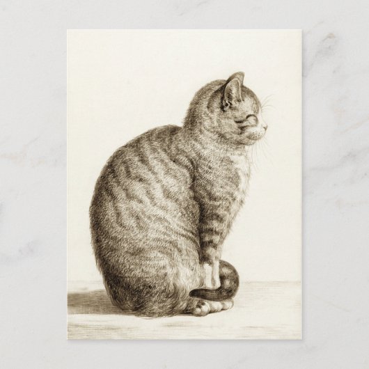 Sitting cat - Jean Bernard Briefkaart (Voorkant)