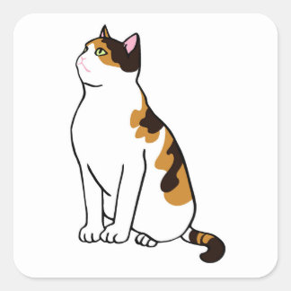 Sitting cat vierkante sticker