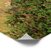 Sitting Cheetah Poster (Hoek)