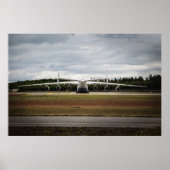 Sitting duck poster (Voorkant)