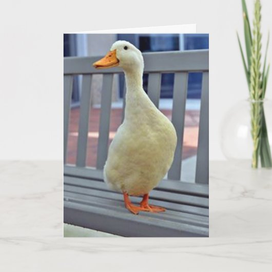 "SITTING DUCK" zegt ***MISSING JOU** BOO HOO Kaart (Voorkant)