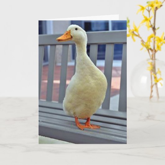 "SITTING DUCK" zegt ***MISSING JOU** BOO HOO Kaart (Gele Bloem)