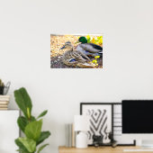 Sitting Ducks - Poster (Thuiskantoor)