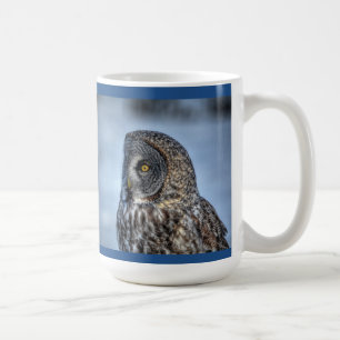 Sitting Great Grey Owl & Snow Wildlife Raptor Koffiemok
