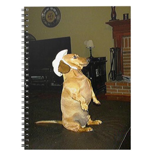 Sitting  Notitieboek Dachshund (Voorkant)