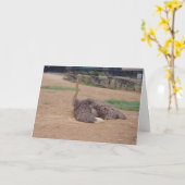 "Sitting Ostrich" Hartelijk dank Kaart (Gele Bloem)