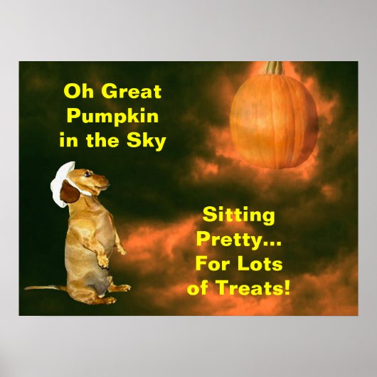 Sitting Pretty For Lots of Treats Poster (Devant)