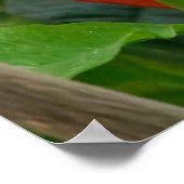 Sitting Still Poster (Hoek)