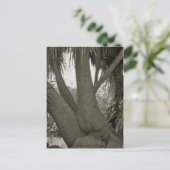 Sitting Tree Briefkaart (Staand voorkant)