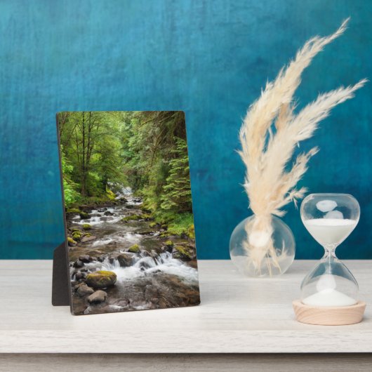 Siuslaw National Forest | Sweet Creek Fotoplaat (Zijkant)