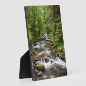 Siuslaw National Forest | Sweet Creek Fotoplaat (Zijkant)