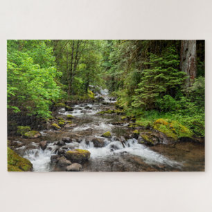 Siuslaw National Forest Sweet Creek Legpuzzel