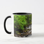 Siuslaw National Forest | Sweet Creek Mok (Links)