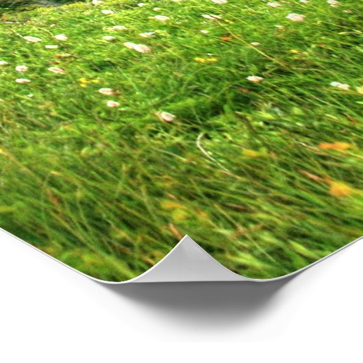 Siverstar Hdr Poster (Hoek)