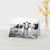 Six Cartes De Voix (Fleur jaune)