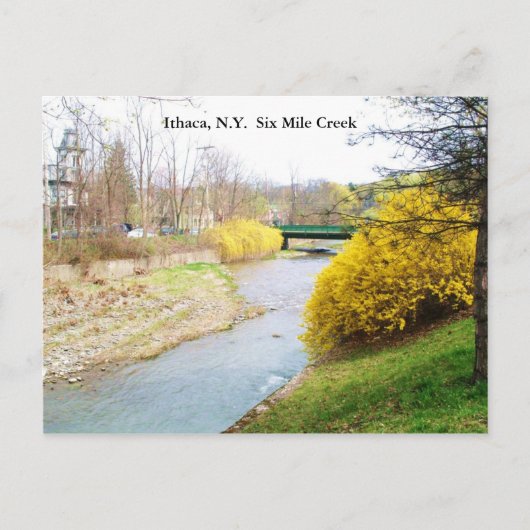SIX MILE CREEK, ITHACA, N.Y. briefkaart (Voorkant)