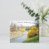 SIX MILE CREEK, ITHACA, N.Y. carte postale (Debout devant)