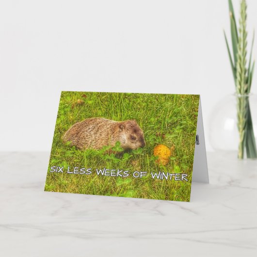 Six semaines de moins de carte de voeux hivernale (Devant)