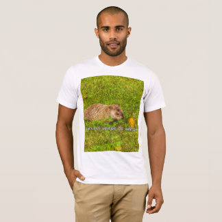 Six semaines de moins de t-shirt d'hiver