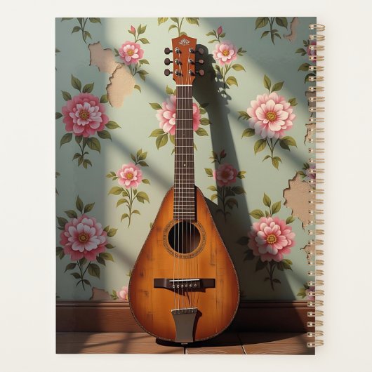 Six-Stringed Dulcimer Vintage Rare Instrument (Dos)