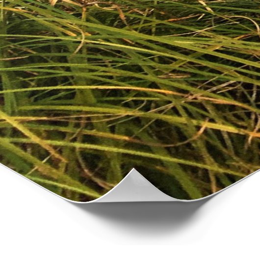 Sixes River, Oregon Poster (Hoek)