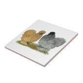 Sizzle Kippen Tegeltje (Zijkant)