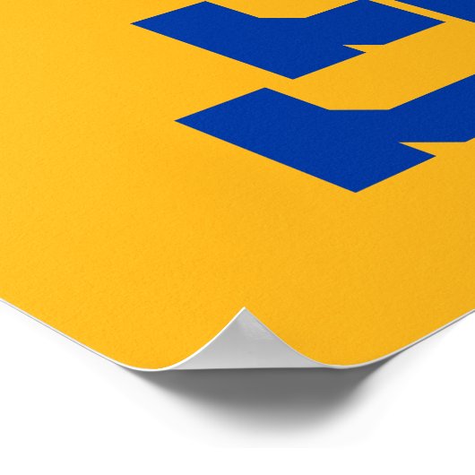 SJ Spartans Poster (Hoek)