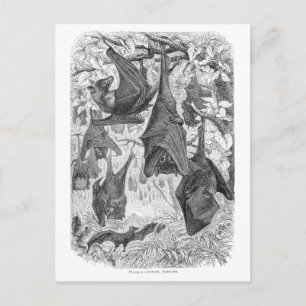  Sjablonen van de 1800s die met fox-bat-retro vlie Briefkaart