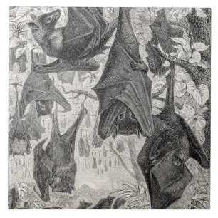 Sjablonen van de 1800s die met fox-bat-retro vlie Tegeltje