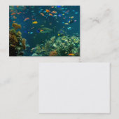 Sjabloon Aquarium-Visitekaartjes Visitekaartje (Voorkant / Achterkant)