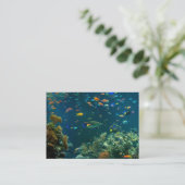 Sjabloon Aquarium-Visitekaartjes Visitekaartje (Staand voorkant)