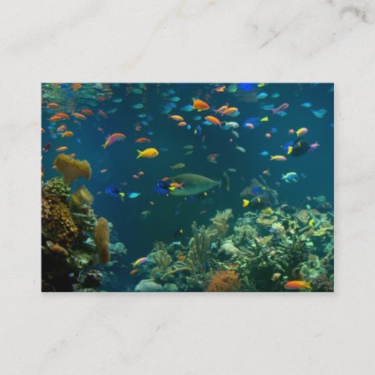 Sjabloon Aquarium-Visitekaartjes Visitekaartje (Voorkant)