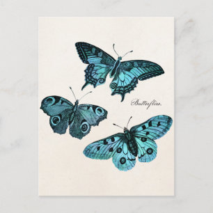 Sjabloon Blauwgroen blauwe vlinderillustratie Briefkaart
