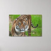 sjabloon canvas afdruk (Voorkant)