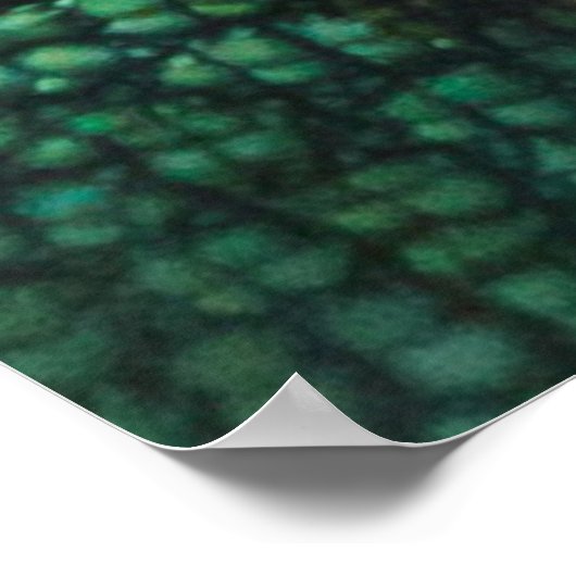 Sjabloon Chameleon Skin Texture Poster (Hoek)