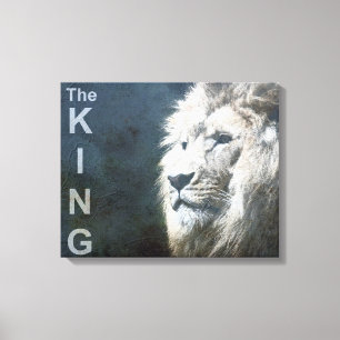 Sjabloon Lion Natuur Animal Foto van King Canvas Afdruk