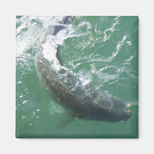 Sjabloon magneet (Voorkant)