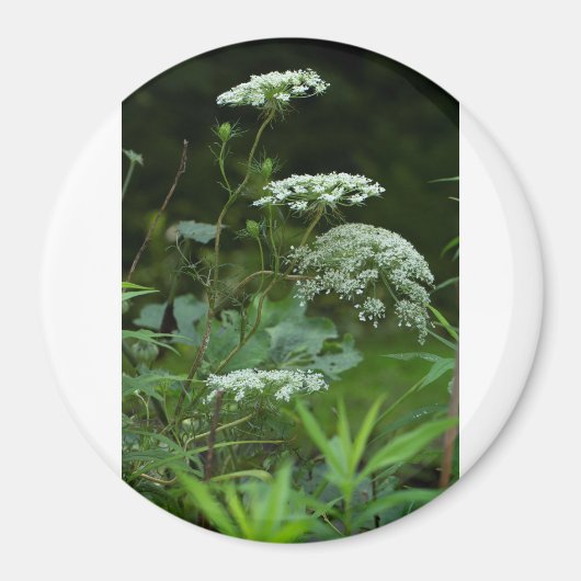 sjabloon met ronde magneet (Voorkant)