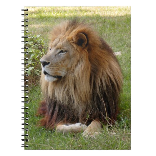 Sjabloon-notebook (8x10) notitieboek (Voorkant)