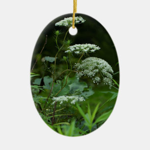 sjabloon ovaal ornament