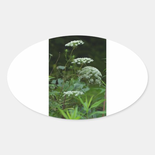 sjabloon ovaal sticker (Voorkant)